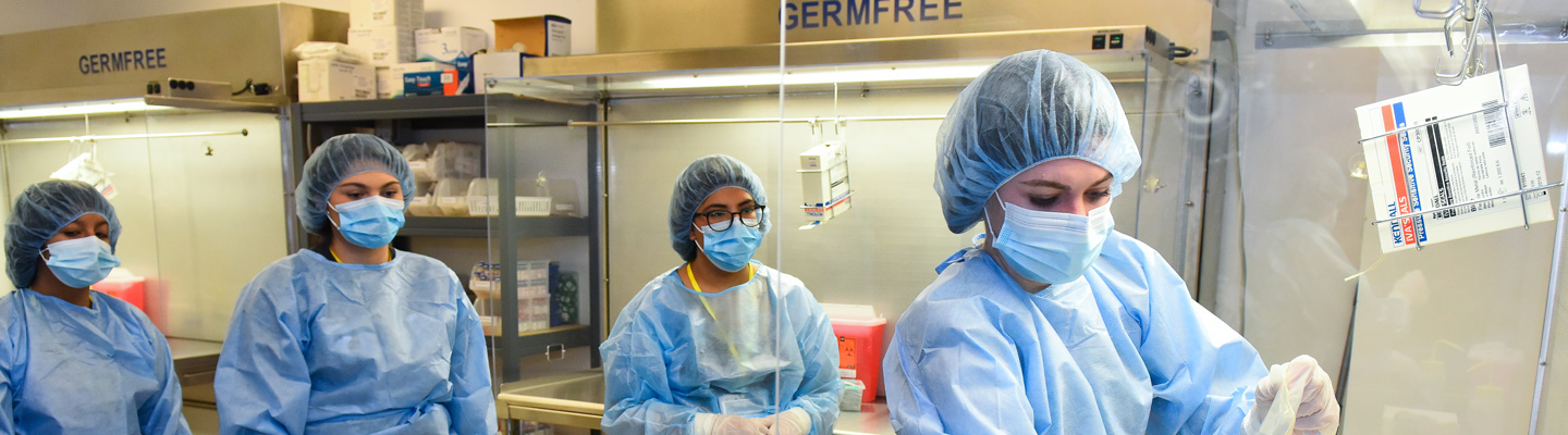 Multiple pharmacy student stand behind one student who is handling material at a table station