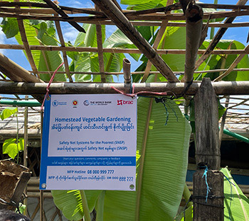 a sign reading "Homestead Vegetable Gardening" in English and Burmese hangs from the top of a bamboo structure festooned with large green leaves in Myanmar