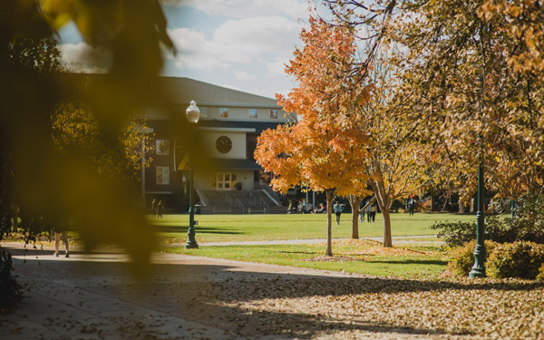 Photo of the quad during the fall. Leaves on the ground