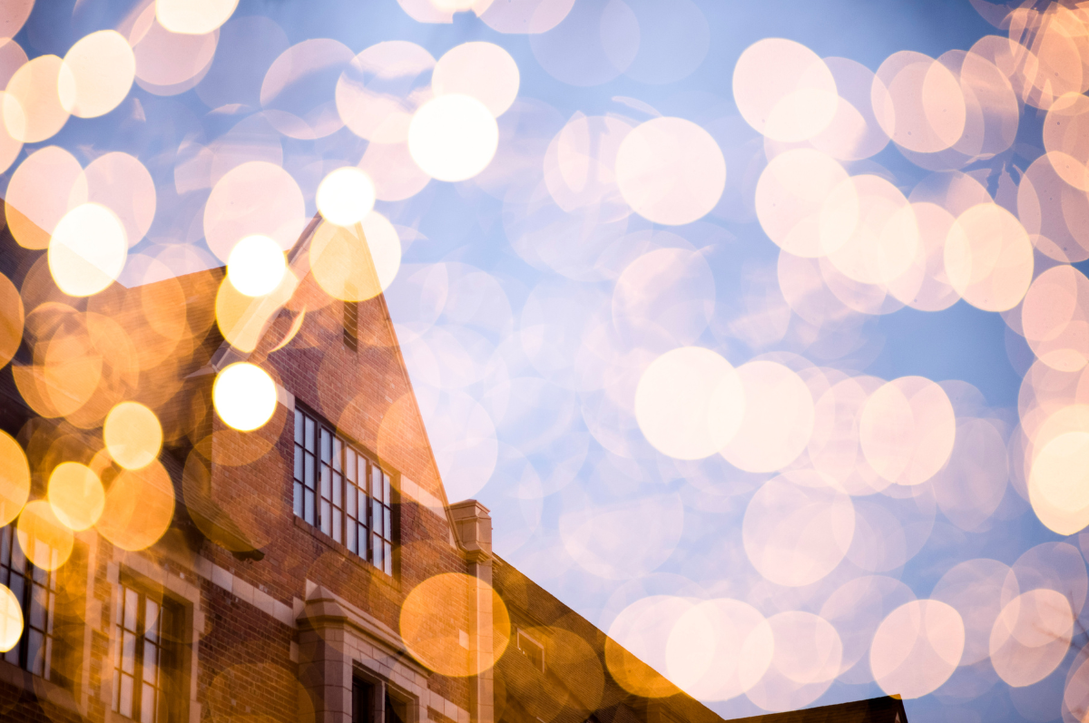 holiday lights decorate tree branches on the Regis campus